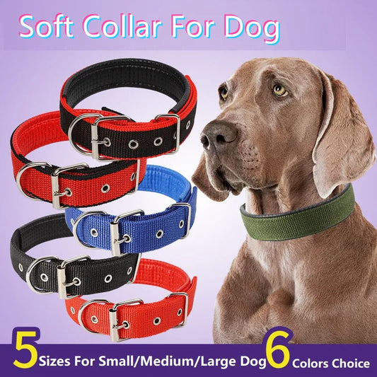 Adjustable Collar For Pet