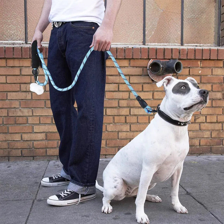 Pet Leashes Reflective