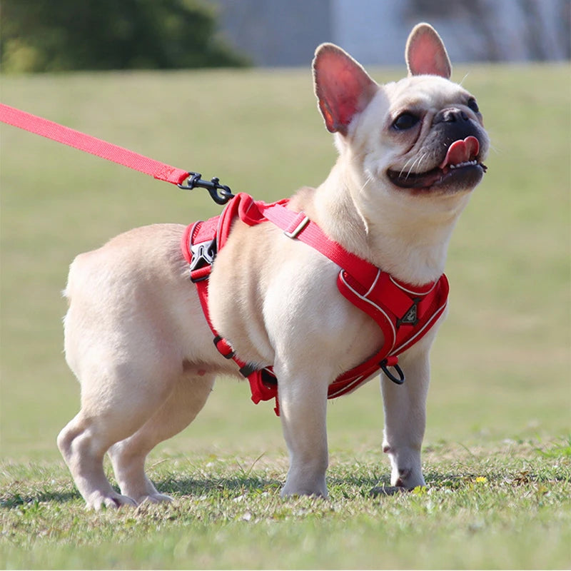 Harness Vest For Small Dogs Cats