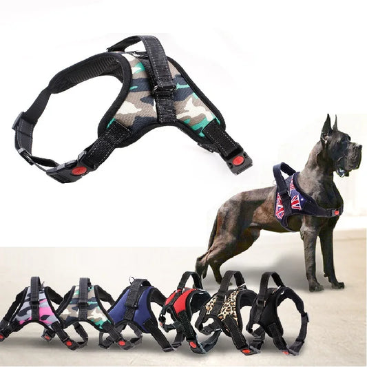 Pet Harness Collar Adjustable