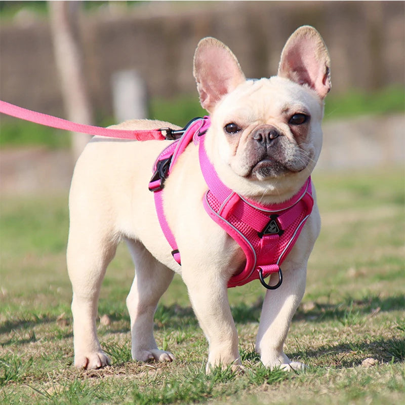 Harness Vest For Small Dogs Cats