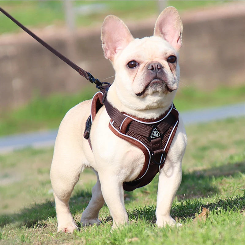 Harness Vest For Small Dogs Cats