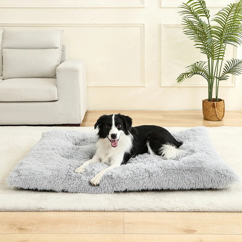 Dog Beds mats