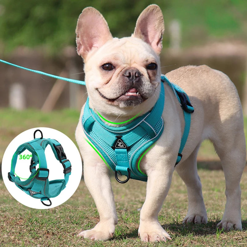 Harness Vest For Small Dogs Cats