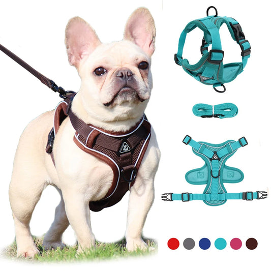 Harness Vest For Small Dogs Cats