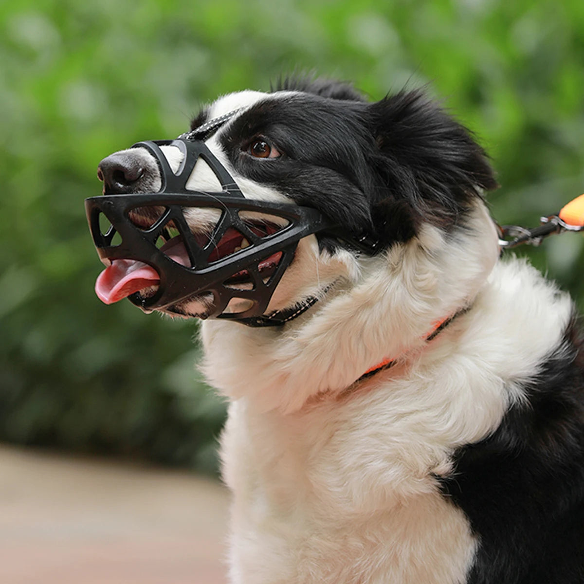 Adjustable Dog Muzzle Anti-Biting