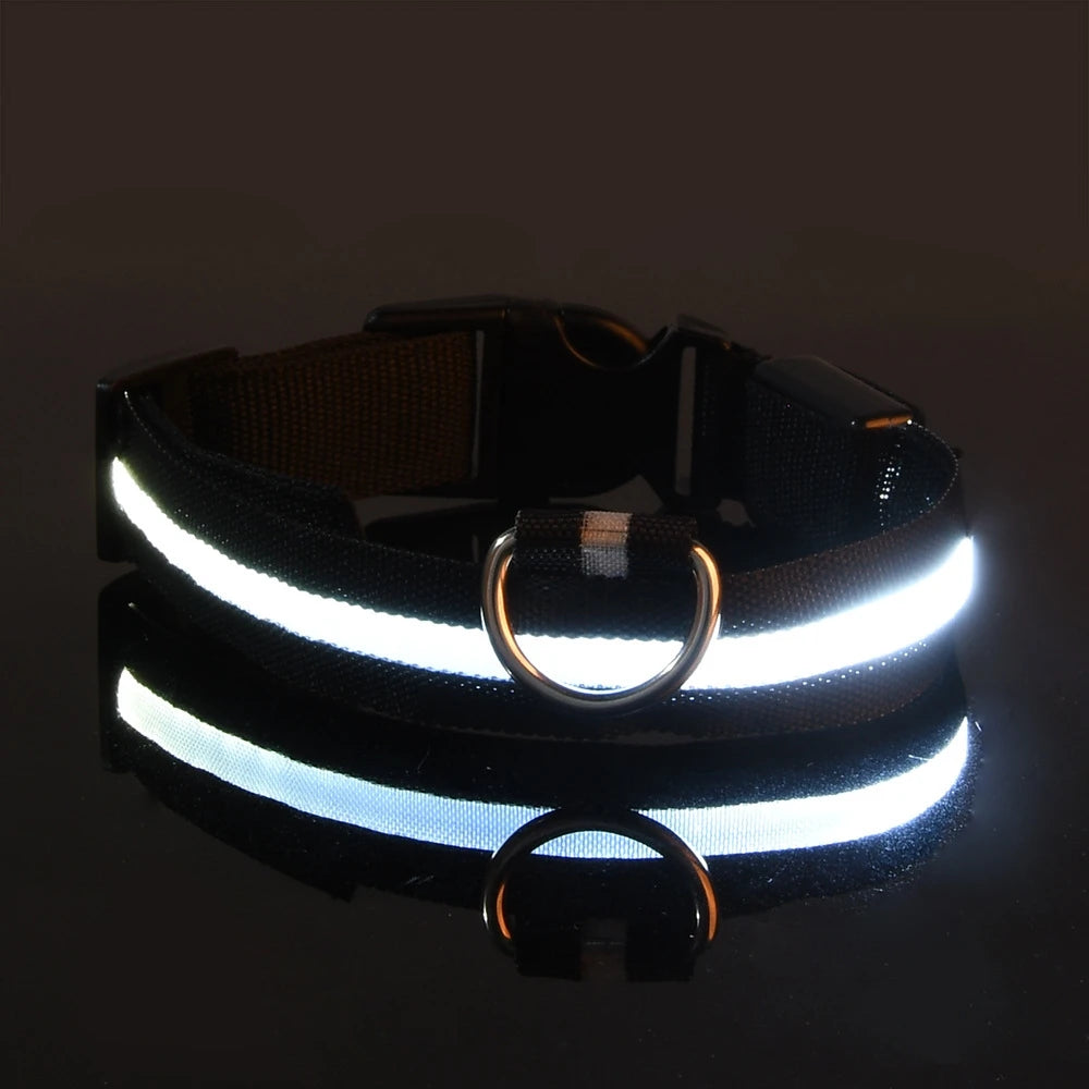 Lights Collars