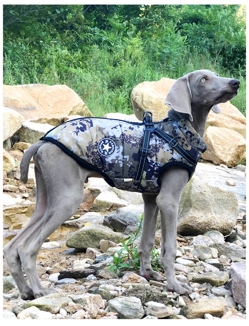 Waterproof  Dog Harness Jacket