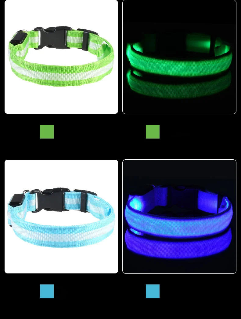 Lights Collars