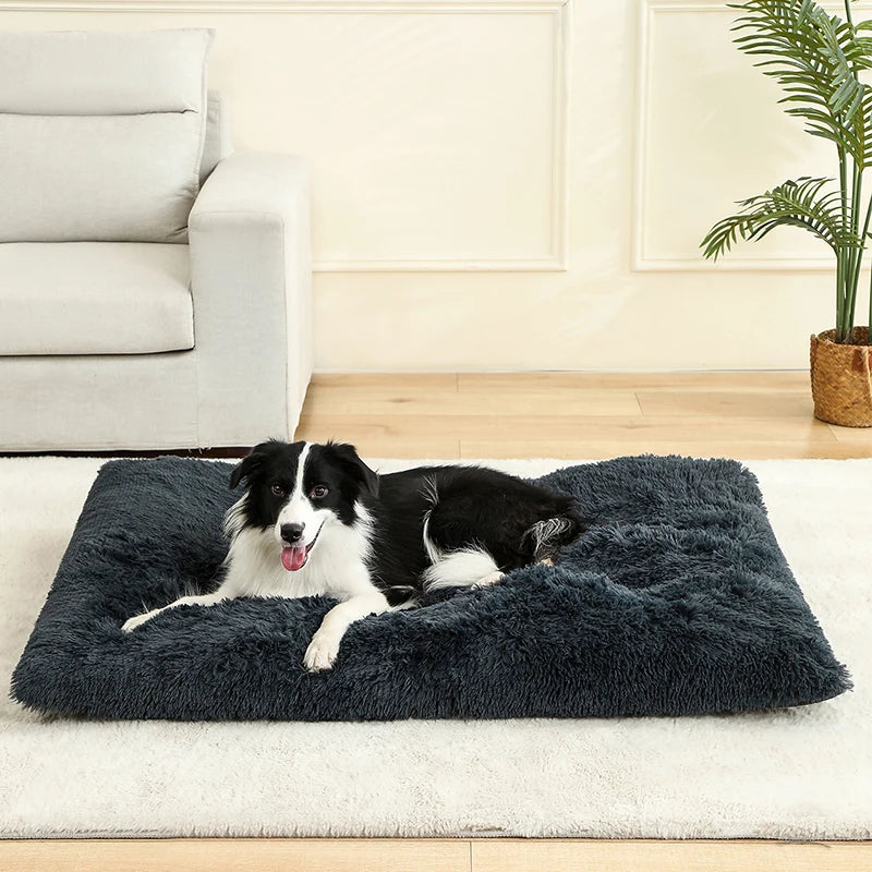 Dog Beds mats