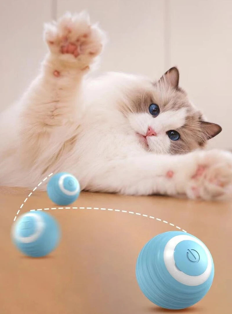 Smart Interactive Toy Ball