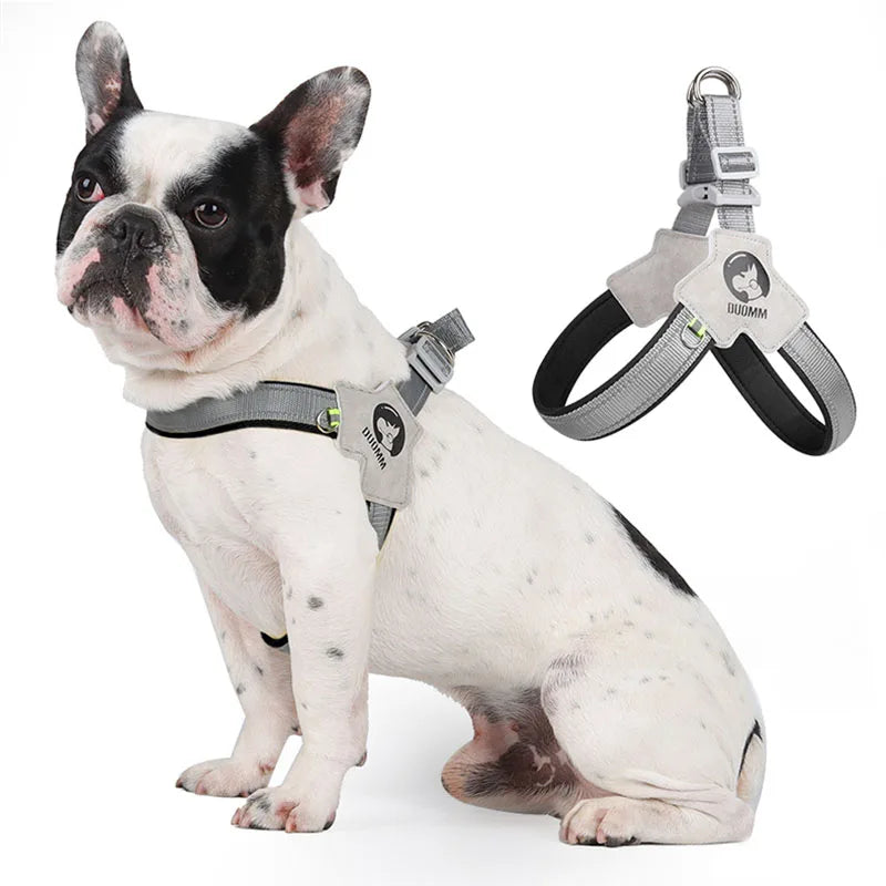 Dog Y Harness