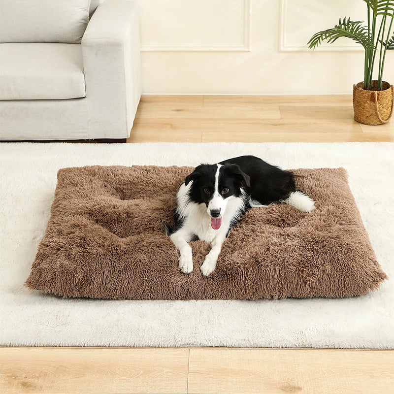 Dog Beds mats