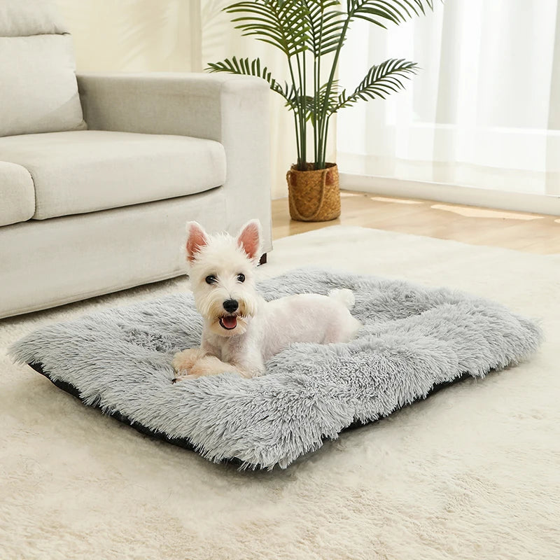 Dog Beds mats