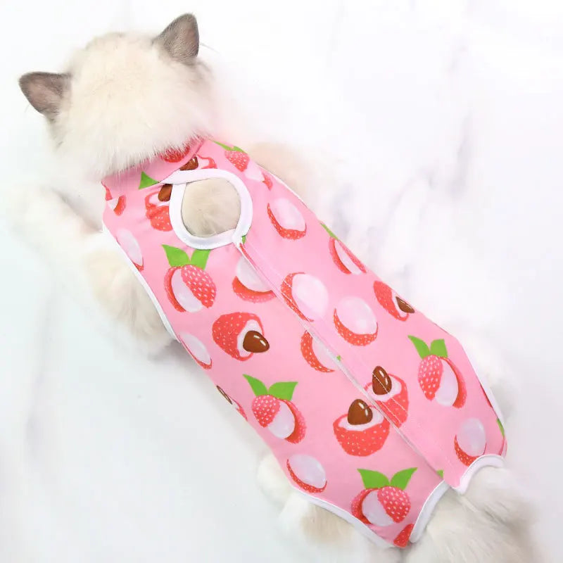 Cat sterilization suit