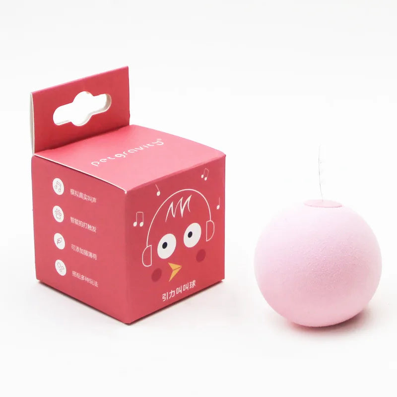 Smart Interactive Toy Ball