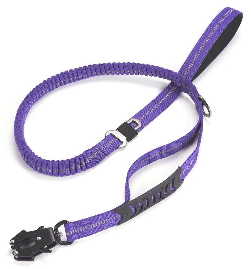 Pet Walking Leash