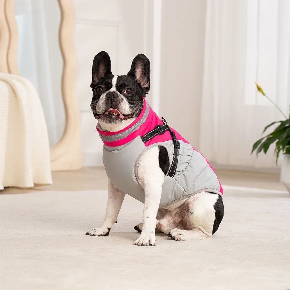 Waterproof Pet Jacket