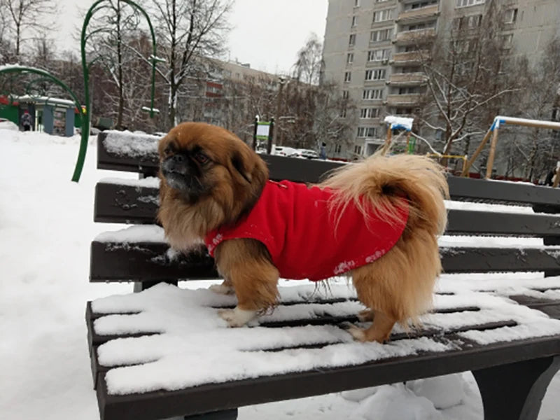 Winter Dog Coat