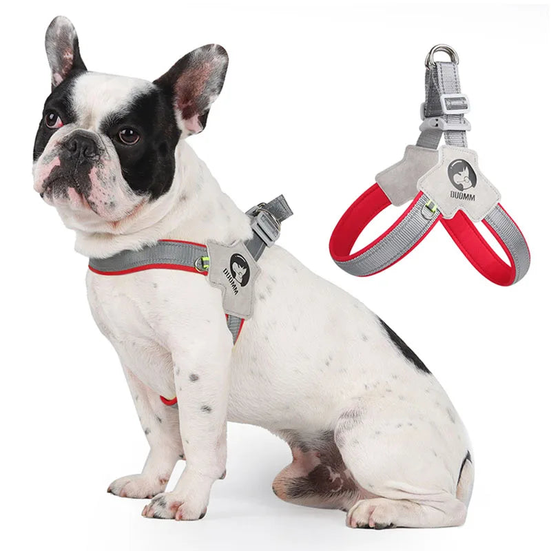 Dog Y Harness