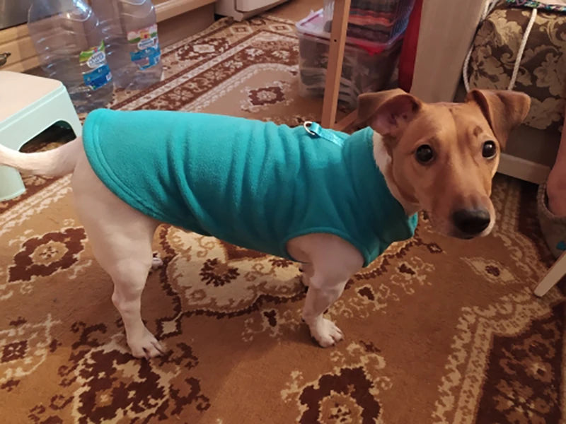 Winter Dog Coat