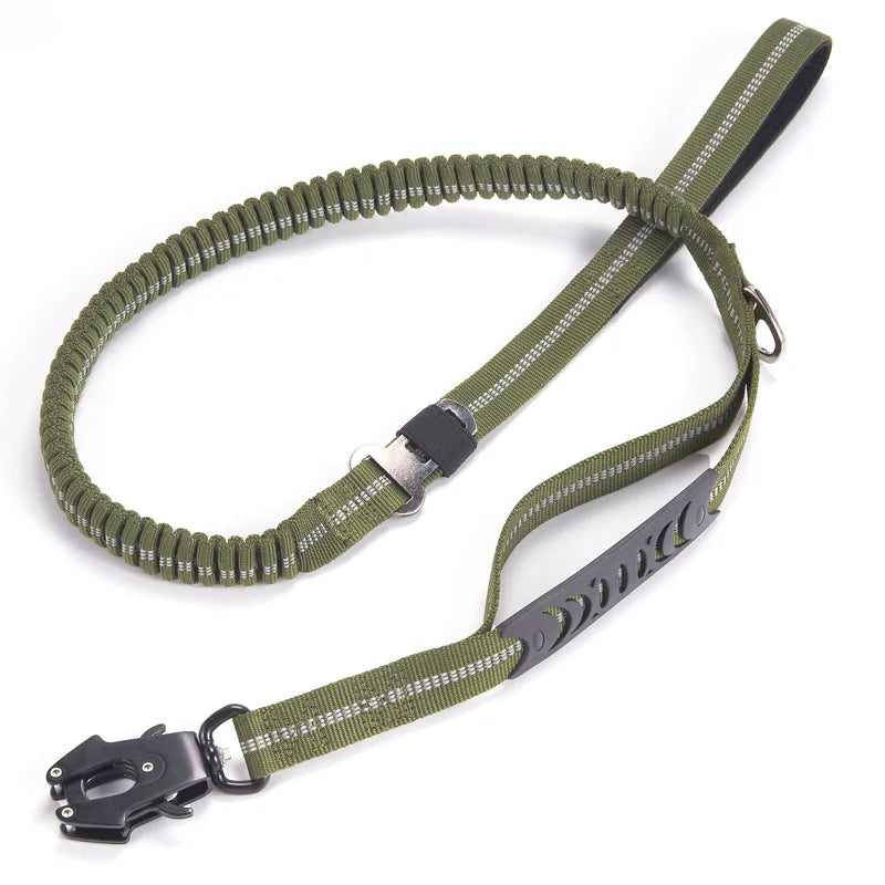 Pet Walking Leash