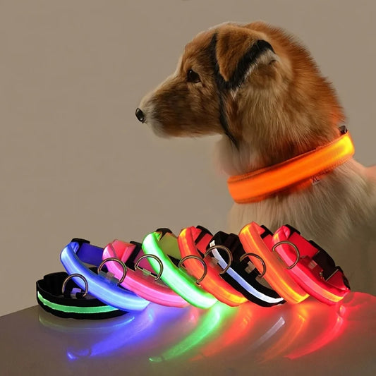 Lights Collars