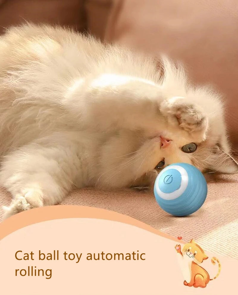 Smart Interactive Toy Ball