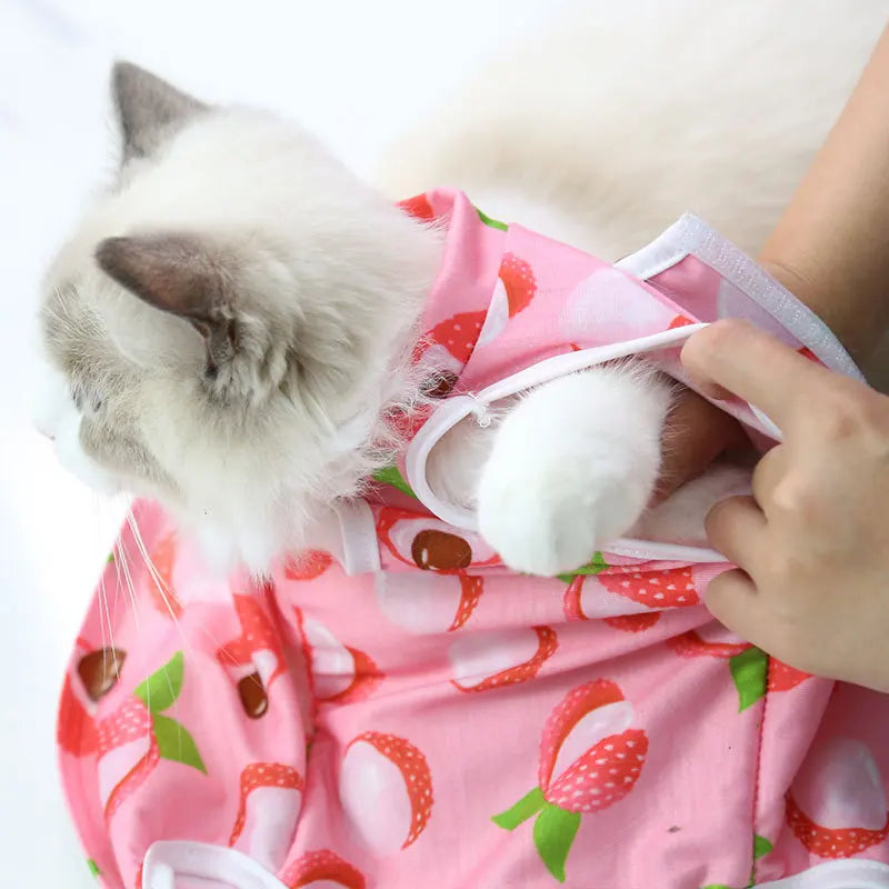 Cat sterilization suit