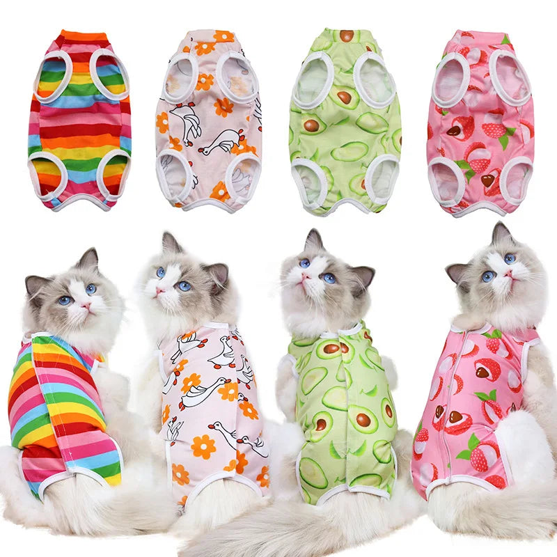 Cat sterilization suit