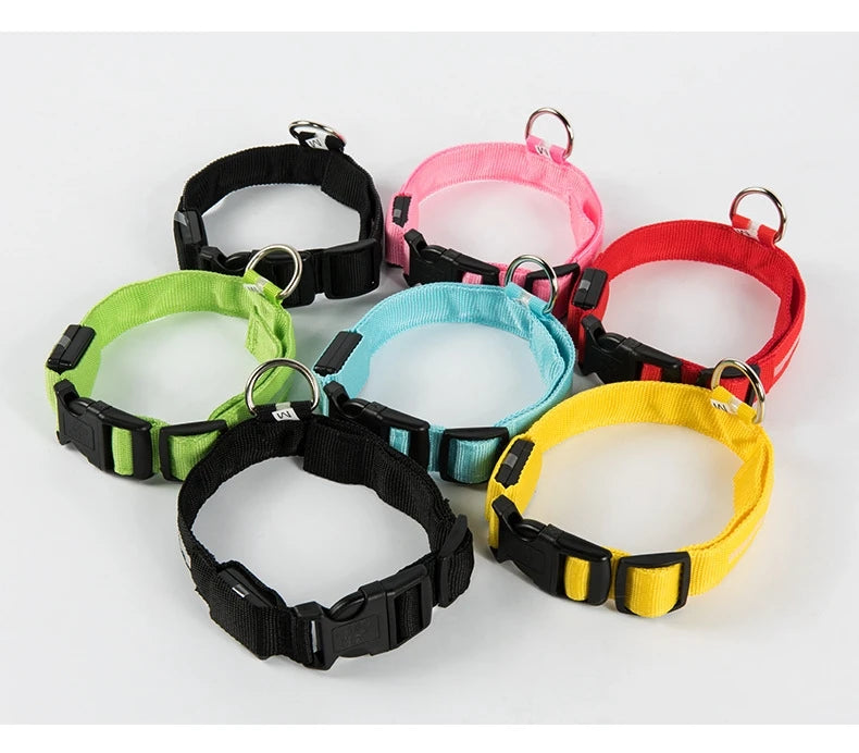 Lights Collars