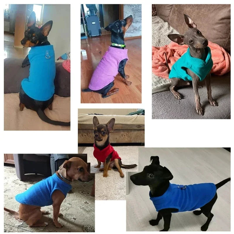 Winter Dog Coat