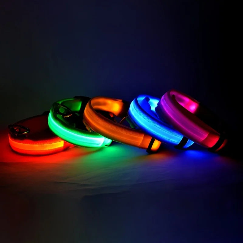 Lights Collars