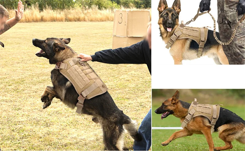 Military Tactical Dog Harness