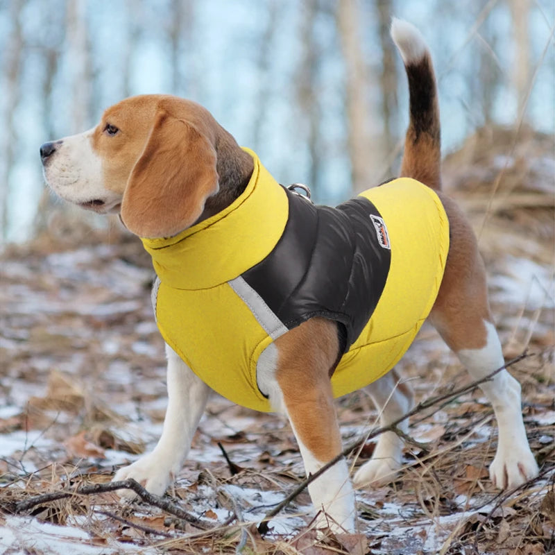 Dog Clothes Waterproof