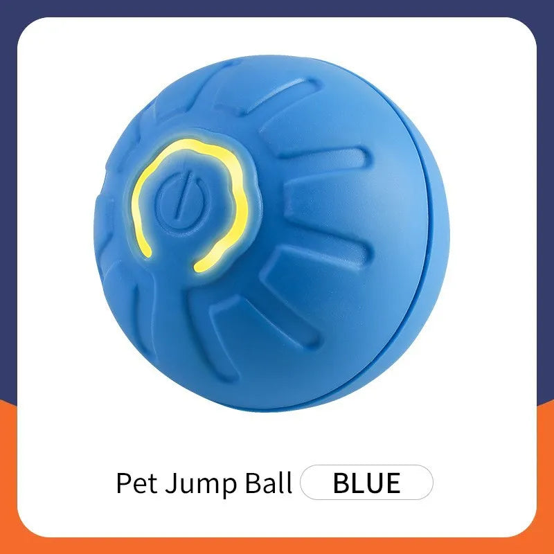 Smart Interactive Toy Ball