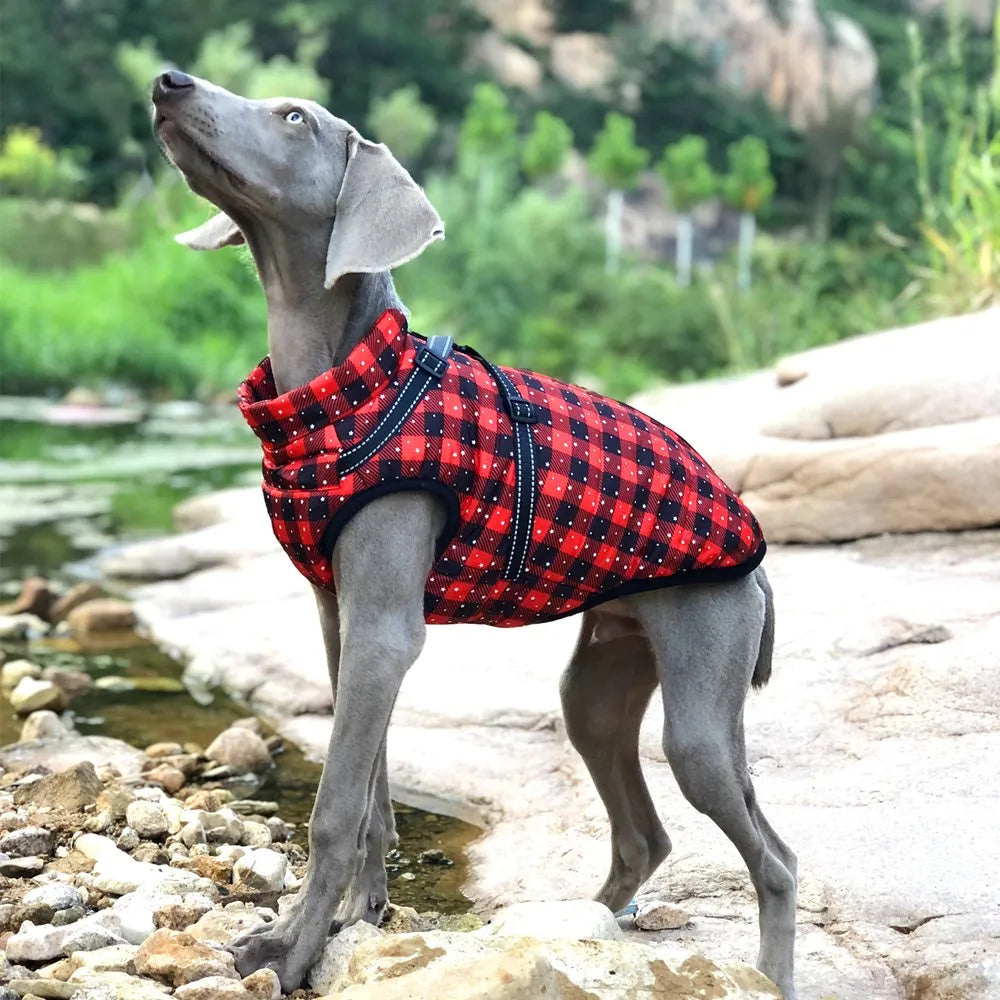 Waterproof  Dog Harness Jacket