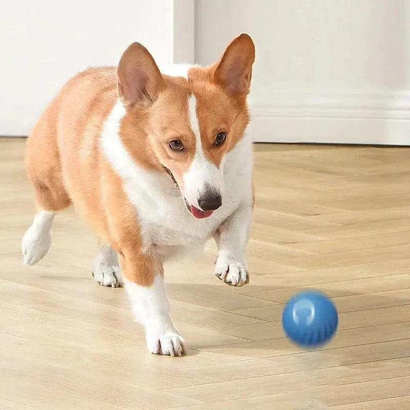 Smart Interactive Toy Ball