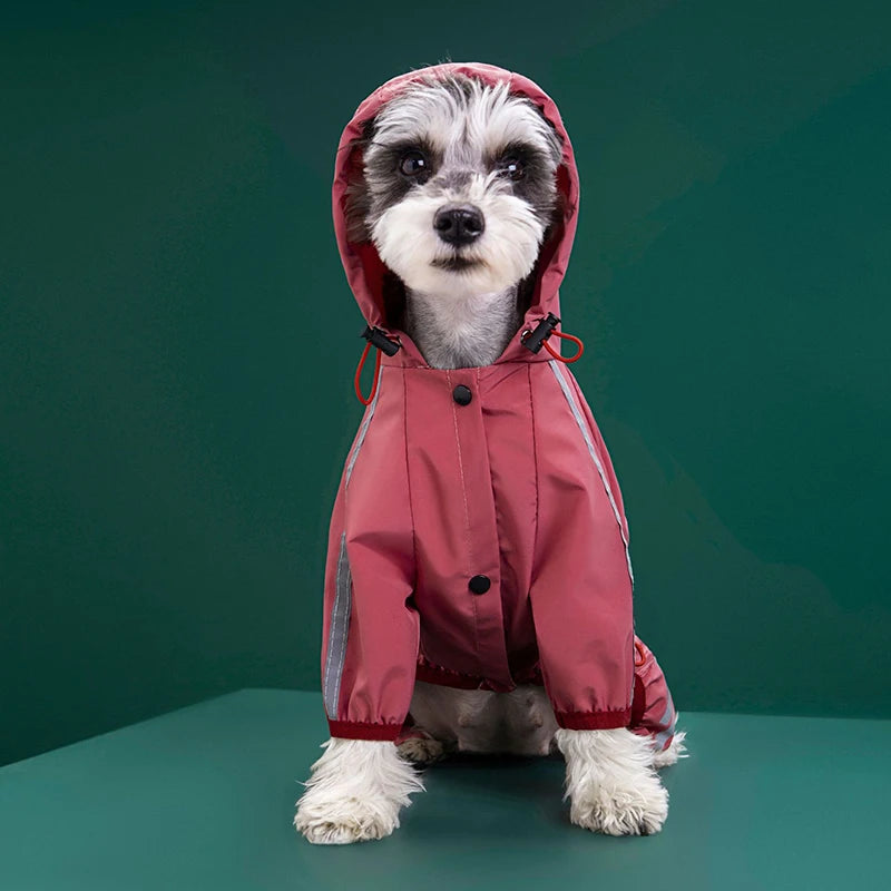 Dogs Raincoat