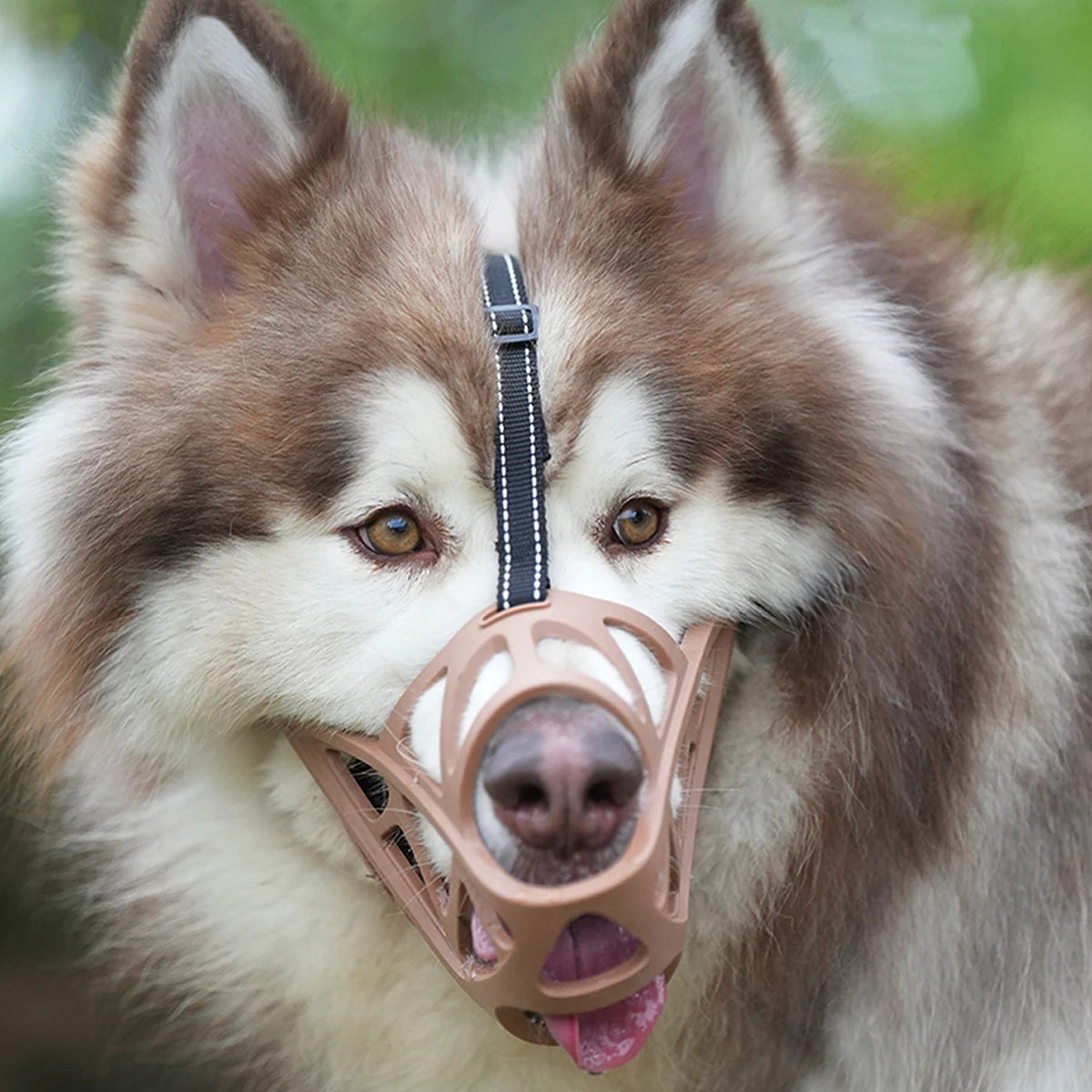 Adjustable Dog Muzzle Anti-Biting