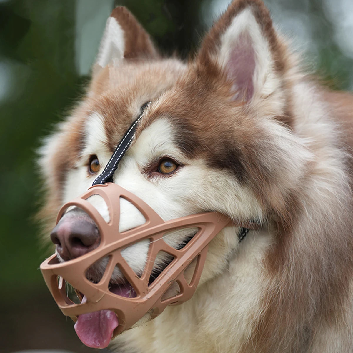 Adjustable Dog Muzzle Anti-Biting