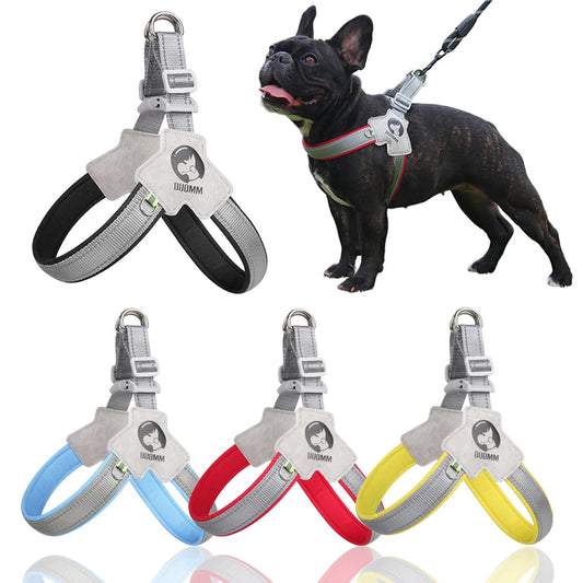 Dog Y Harness