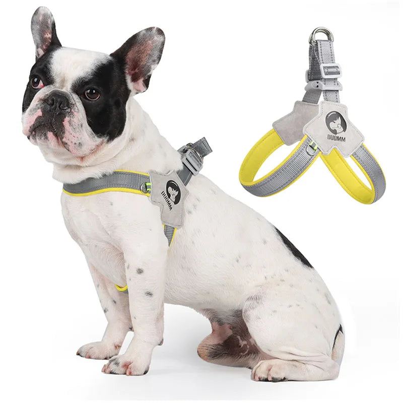 Dog Y Harness