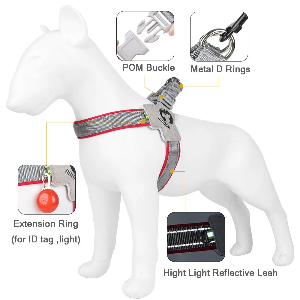 Dog Y Harness