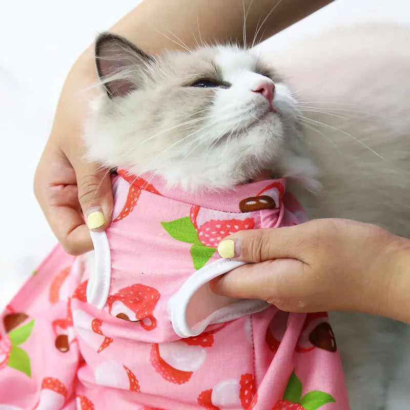 Cat sterilization suit