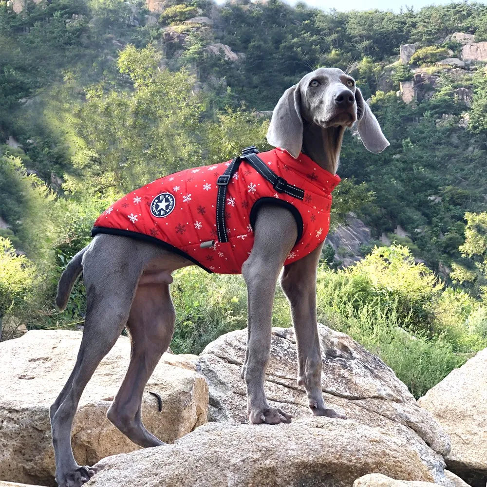 Waterproof  Dog Harness Jacket