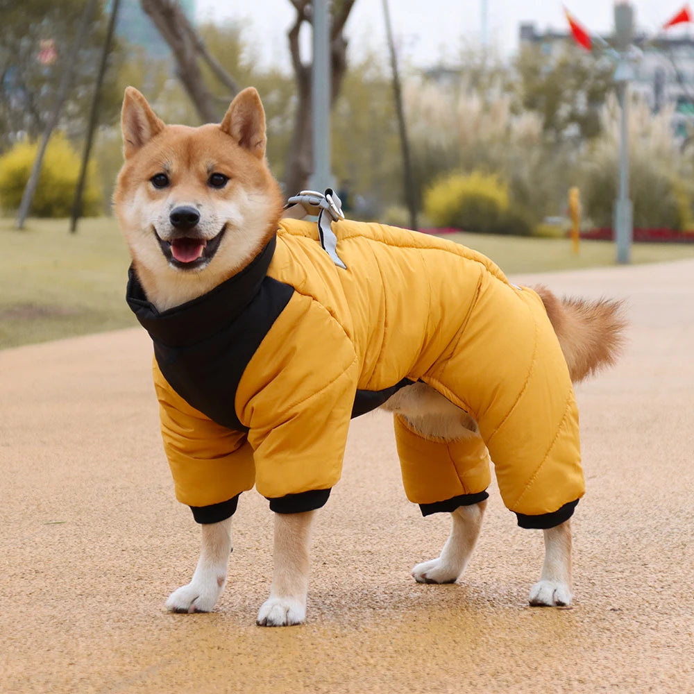 Waterproof  Dog Down Jacket