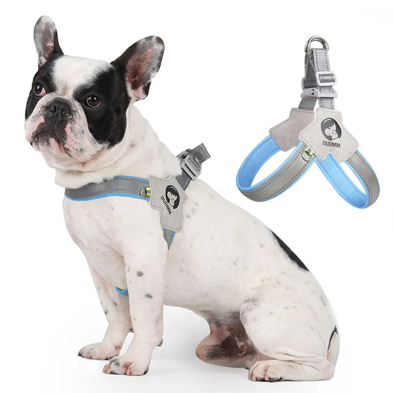 Dog Y Harness