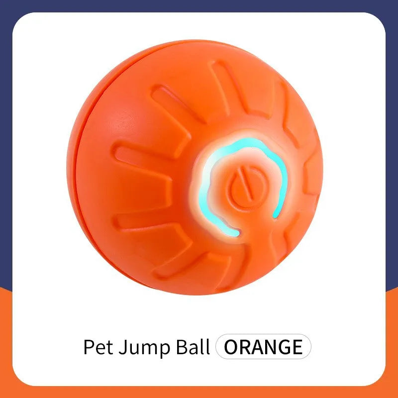 Smart Interactive Toy Ball