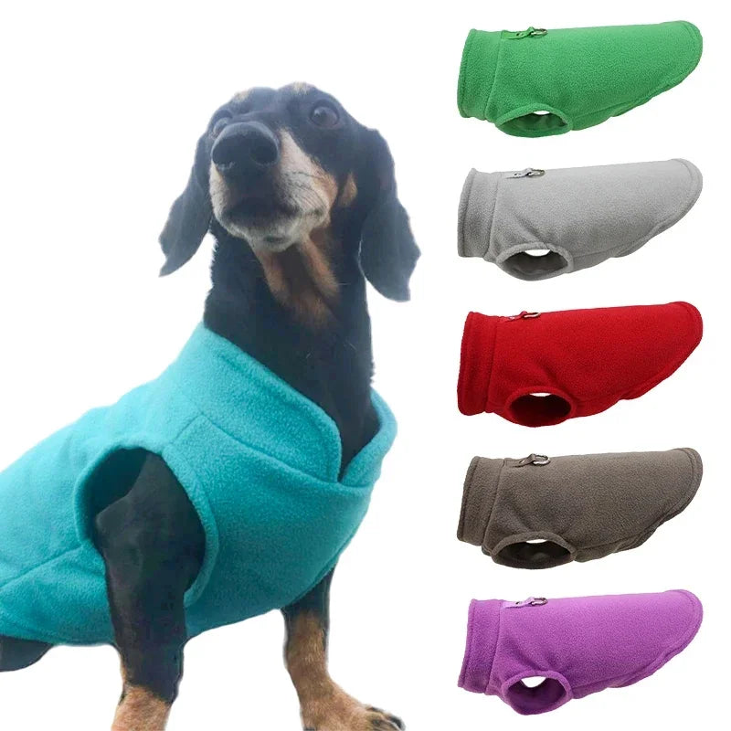 Winter Dog Coat